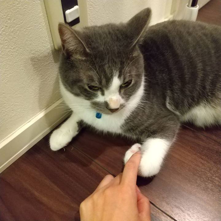 14f65db2 905e 42b4 839a d9fff29d8e11 1606912227887