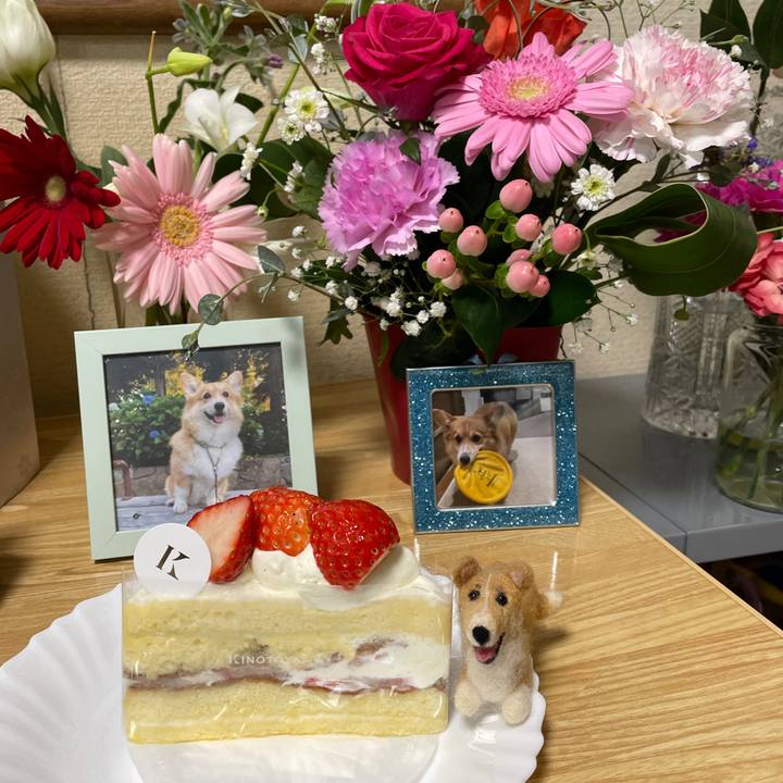 14f69edc 6620 47a6 9ec1 9daadc34e93c 1761462458561