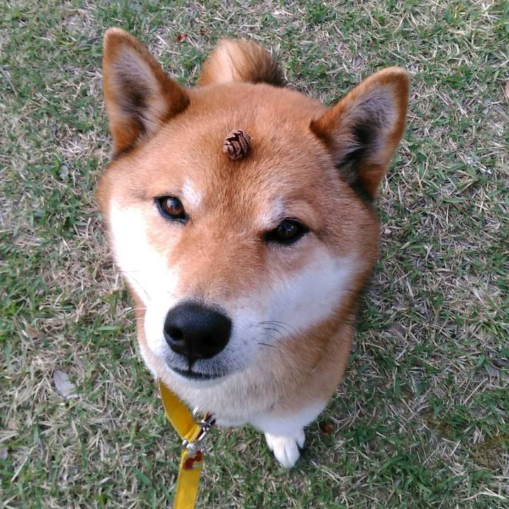 14f6d3fb 2599 42f3 ac96 000b2592ab3a 1523485397861