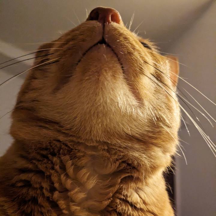 14f6f8dc 05e3 43d0 b8ed 610fb84e4c6f 1685497647897