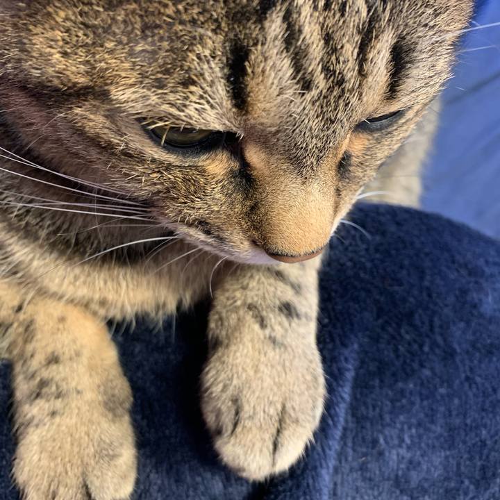 14f706d4 f773 4d86 ad56 1fb76cc1840c 1771206445386