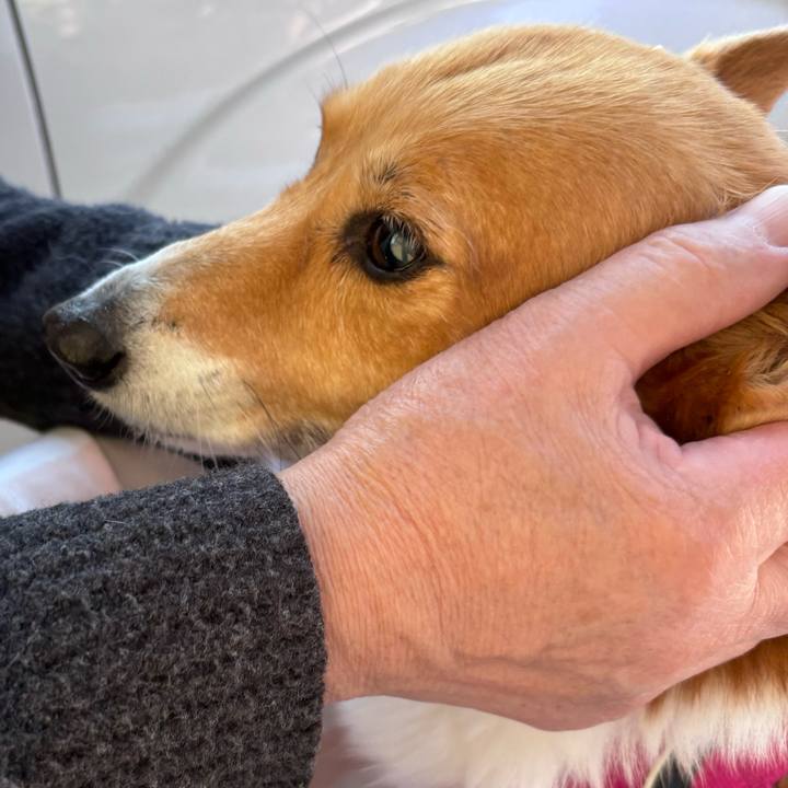 14f71952 a94b 40f4 97b2 34cf81a06c99 1737783984781