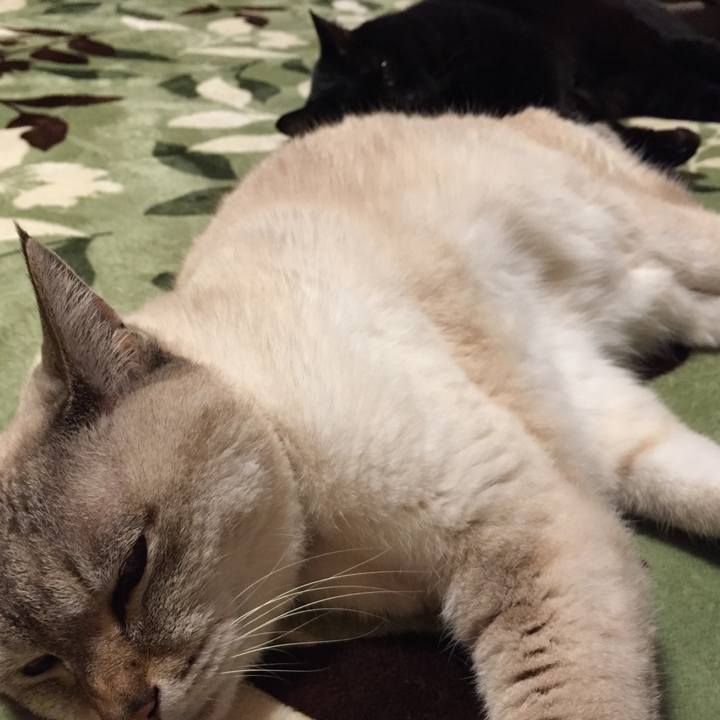 14f725fd 065b 4354 b195 1b93577e49b4 1585740793611