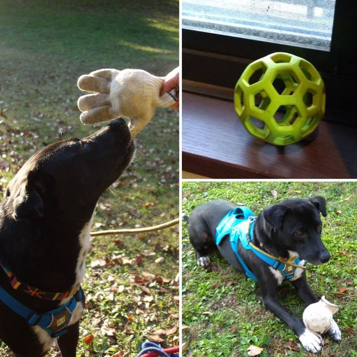 14f72de0 a622 487a b950 cd4ea5e2119b 1605052258063