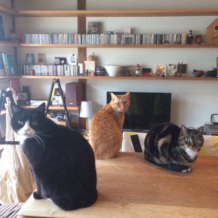 14f72de4 5920 48a6 b606 7f42dbfae27c 1519604838319