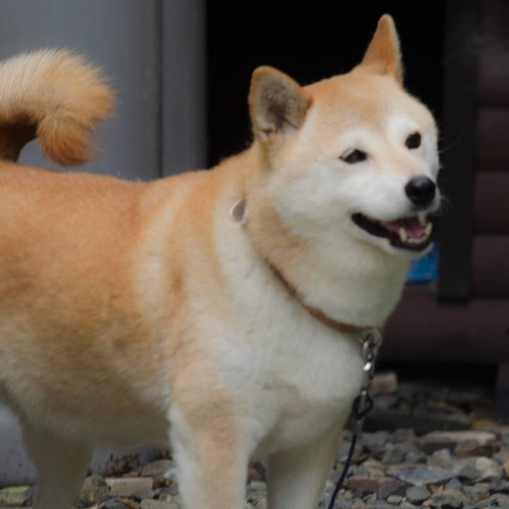 14f73917 bcab 43d7 84d1 4fb29079fa1e 1535293596132