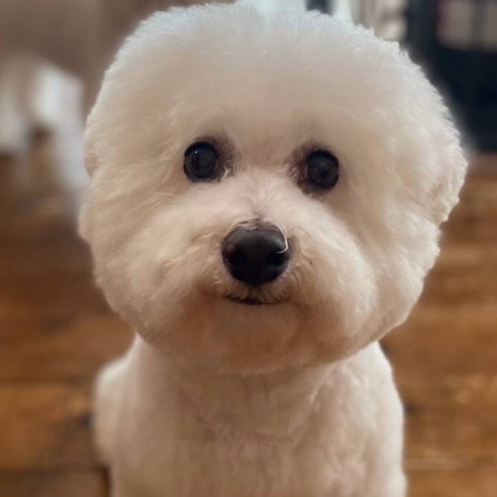 14f7597f 033e 4c33 b48e e17b4cbf06cc 1738558134842