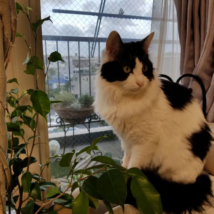 14f75e6e 1941 479c b533 8fb94ccd4959 1535014915381