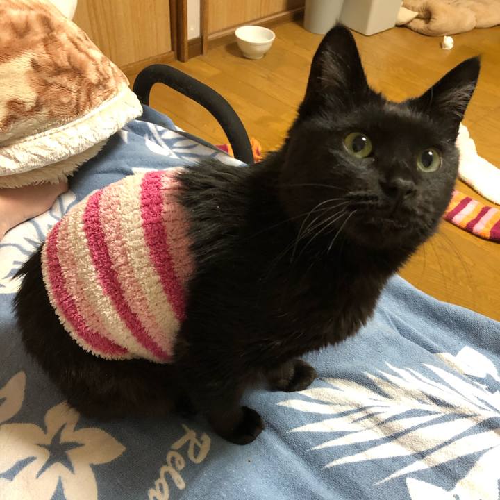 14f7aed5 b011 45cc 9ea8 f2a240eff9c6 1582732078045