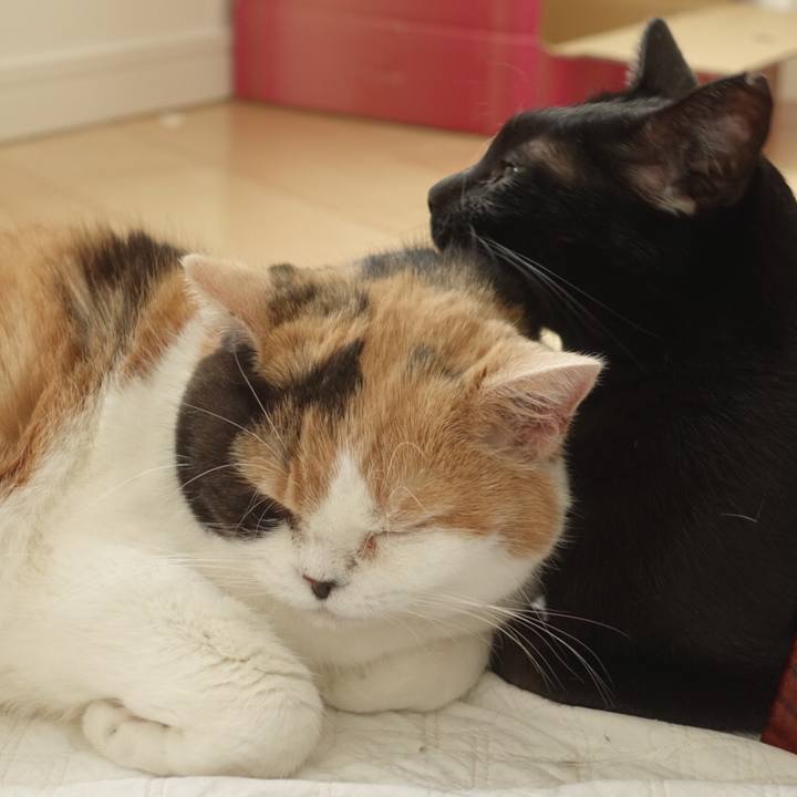 14f7e150 fabf 4eb6 b178 24226c3f7320 1515597607379