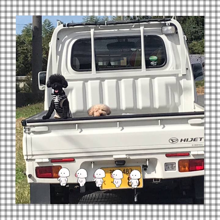 14f7fb28 ce7b 4986 904d d15f3930bce5 1540037894902