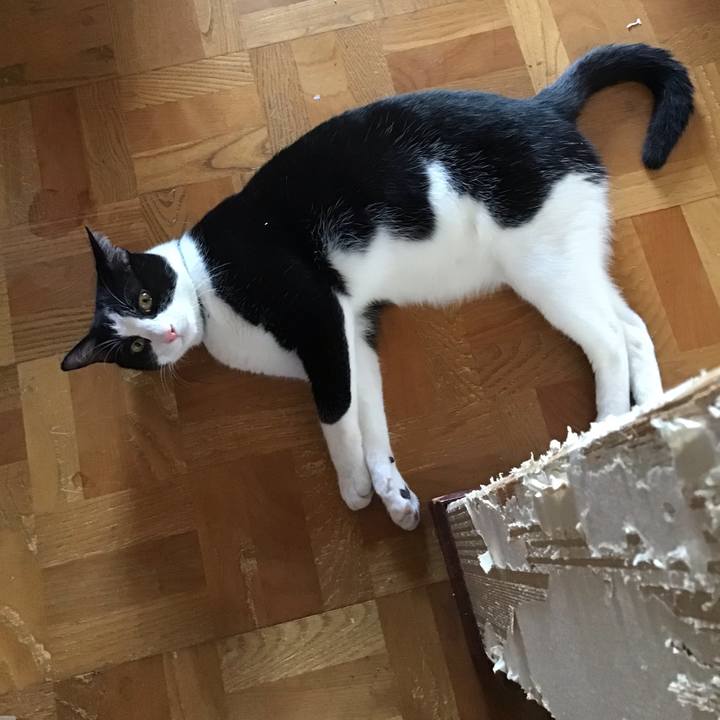 14f7fd62 4714 4167 9c68 806454cffc47 1658742662487