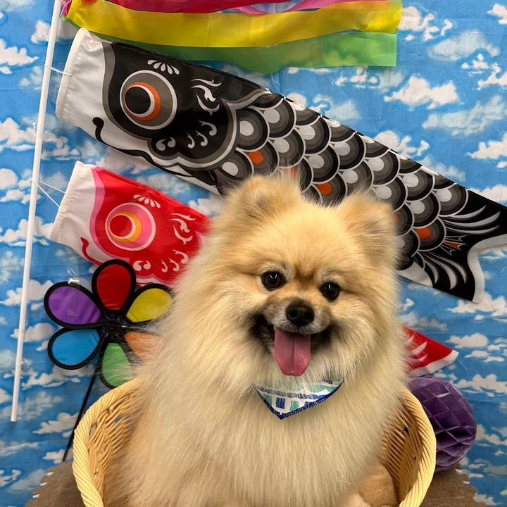 14f7feda 7782 4502 a274 46ed62d9c352 1715226618669