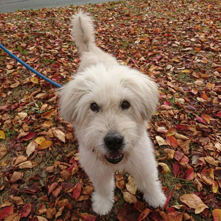 14f88678 b084 455d a904 21596393bee2 1573290374148