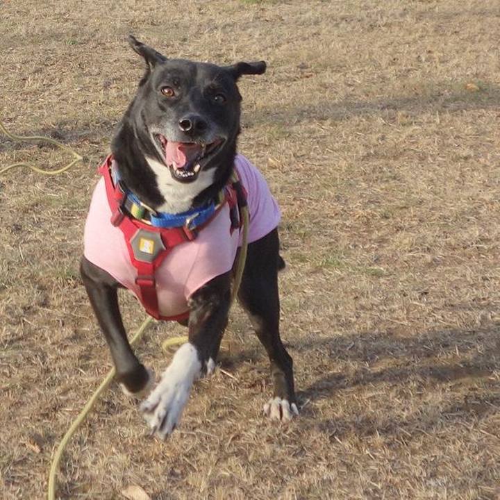 14f8a9bc bd4a 4fb7 8941 223c2c9cd240 1675299743044