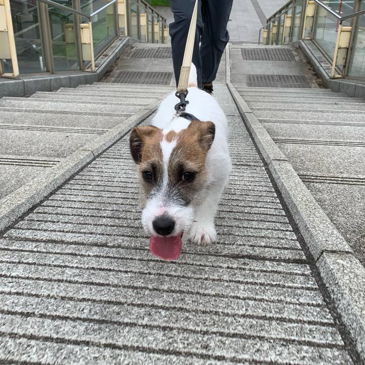 14f8b73a 420f 4b52 8b03 216484717c1f 1563021152270