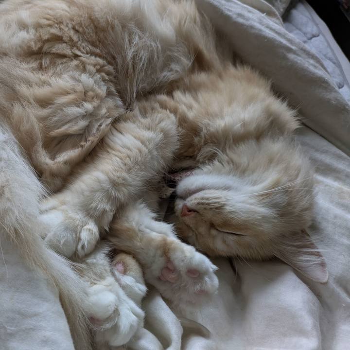 14f8b85c 0519 4700 b533 e366626b6986 1759971960432