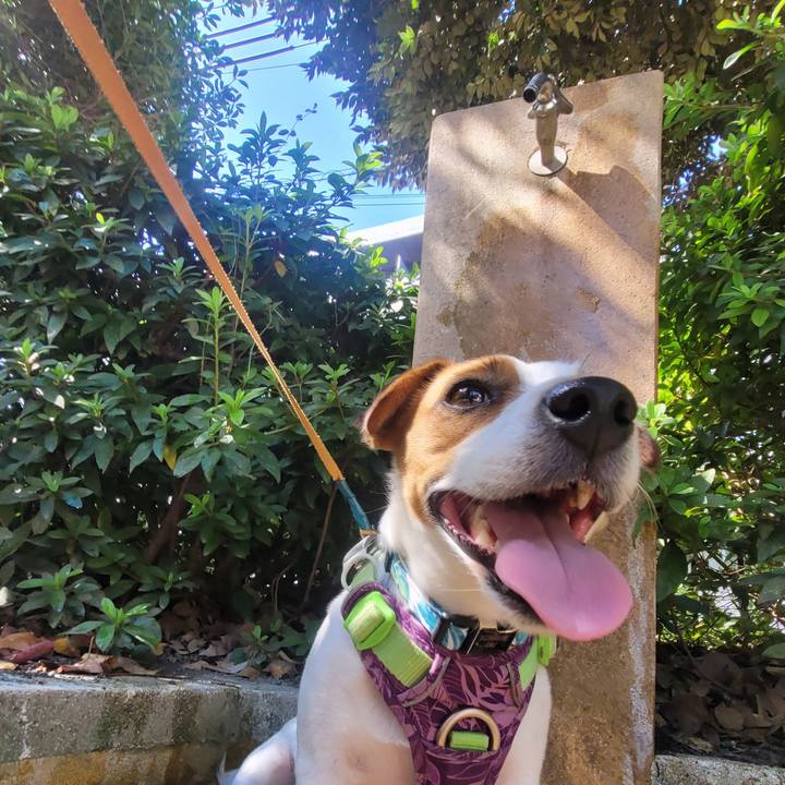 14f8d72c b99a 4a9d 9534 148a713d306b 1664358032765