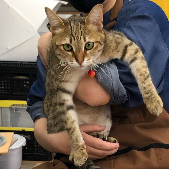 14f8de9a 830b 4aa4 991f 50f28f516e52 1618370045996