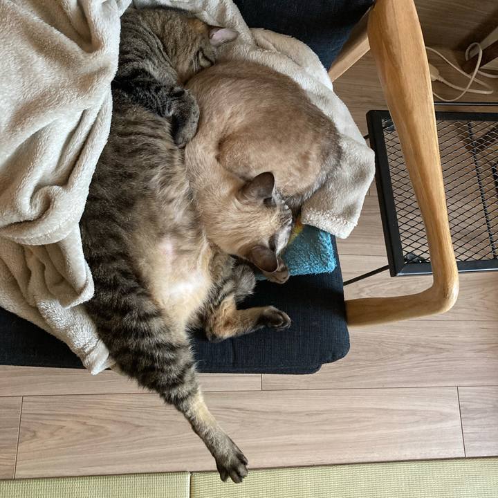 14f8ec0b 18ae 4d54 a8f9 de032a5b5e6f 1670654151764