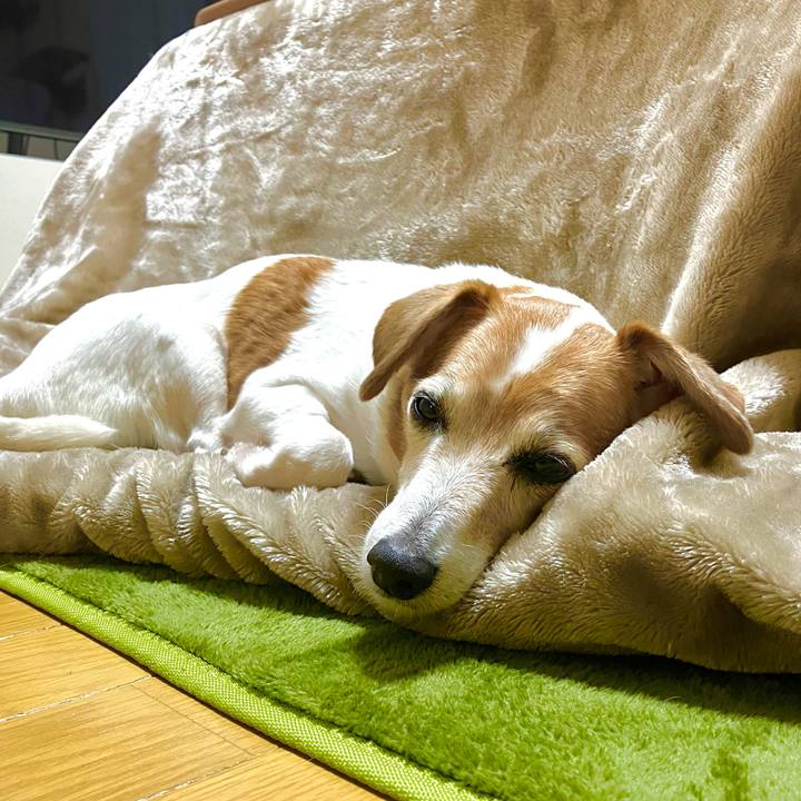 14f919da 8d04 462d 816e 9fc9c6e3b2f4 1699795937151