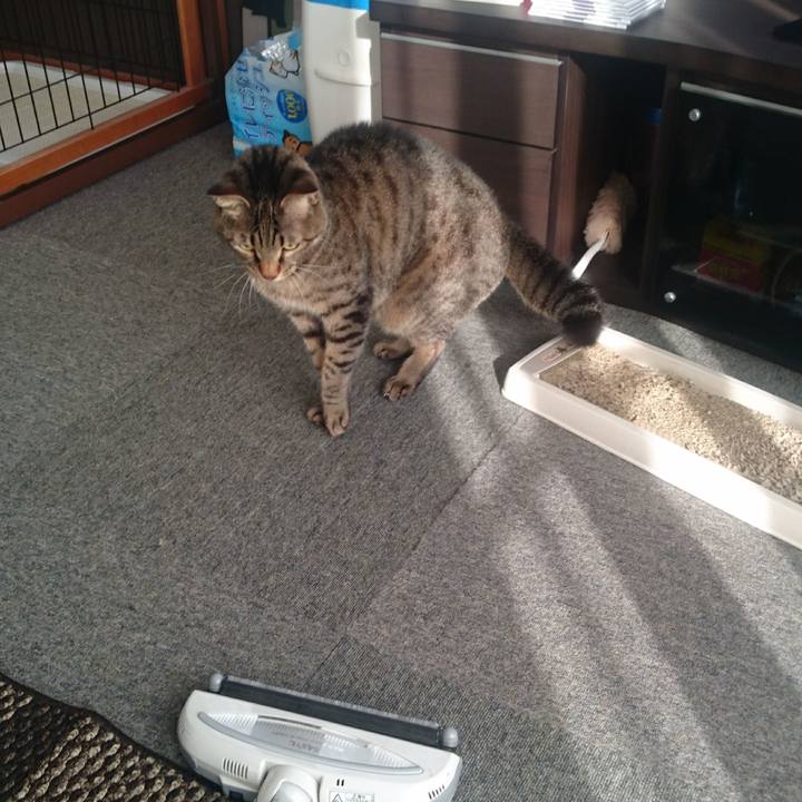 14f920fd 4ecc 4acf 8566 f0a6676c88d4 1509772586931