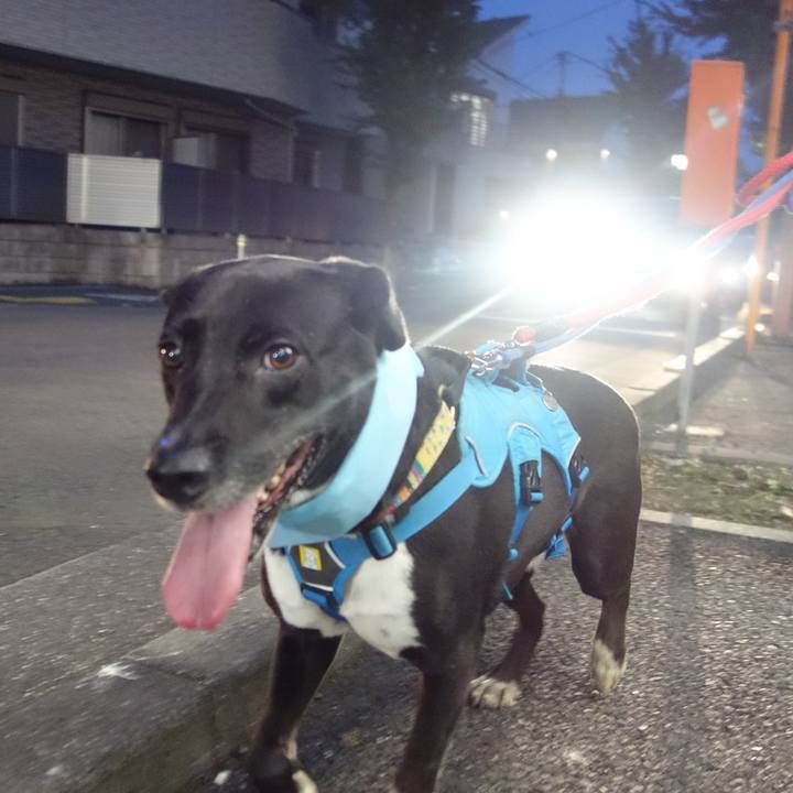 14f93c46 cd78 4098 b58b 2c093a0c19f1 1629801358159