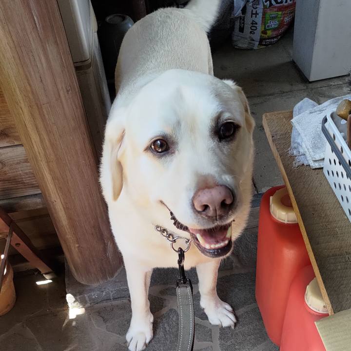 14f948bc 6870 45ae 9c95 cbc58c6bdde0 1721884890942