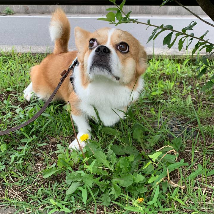 14f96276 3faf 4e70 9d61 1af1f15d8911 1593129090079