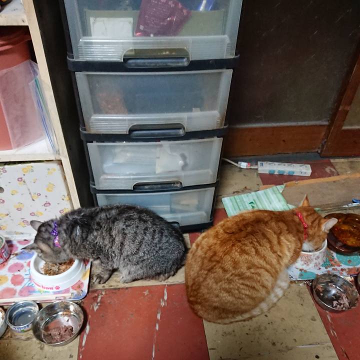 14f96c6c be58 48b9 8fe2 24a5dc09fbef 1579345329513