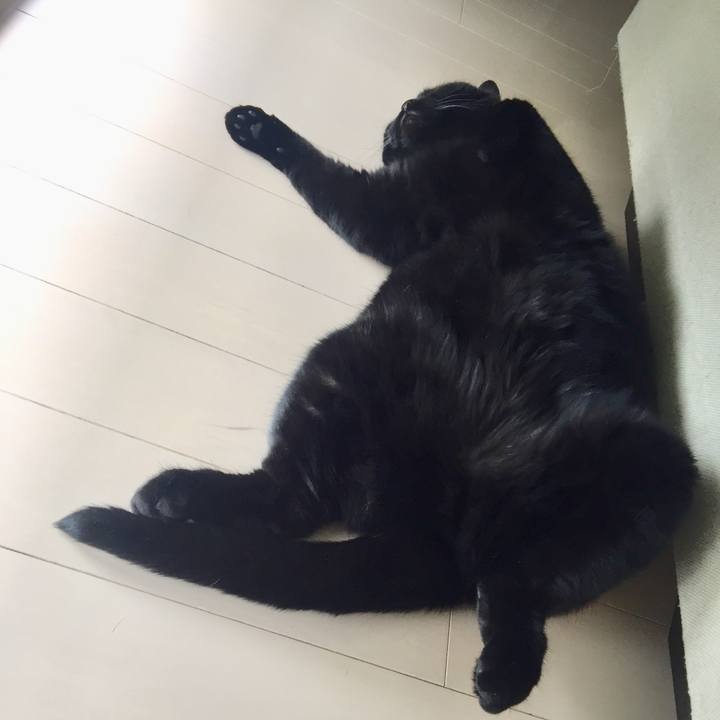 14f998f0 d267 496d 9089 cc02c54fd77a 1592106171542