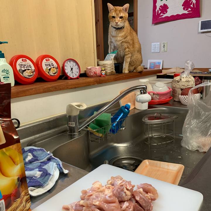 14fa0e8a e252 4c11 8b50 46dc60a504ff 1609155694164