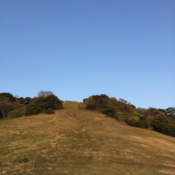 14fa401d 3b2e 4630 b10f dbf256c58792 1587203585736