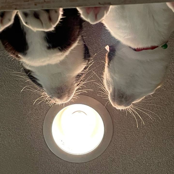 14fa55a7 2126 4212 ba38 f4d243566963 1730210859418