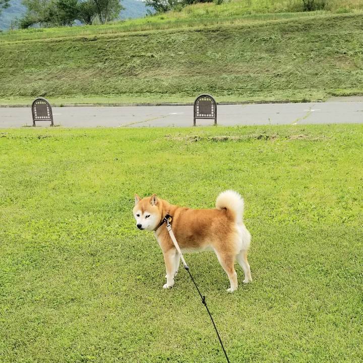 14fa9dea 94bd 4118 a5de 8d240da2d14b 1621838339206