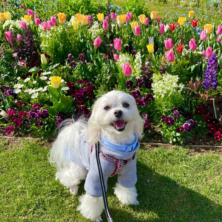 14fad81a 6911 46f5 a2ac 08177567b5c5 1648890796126