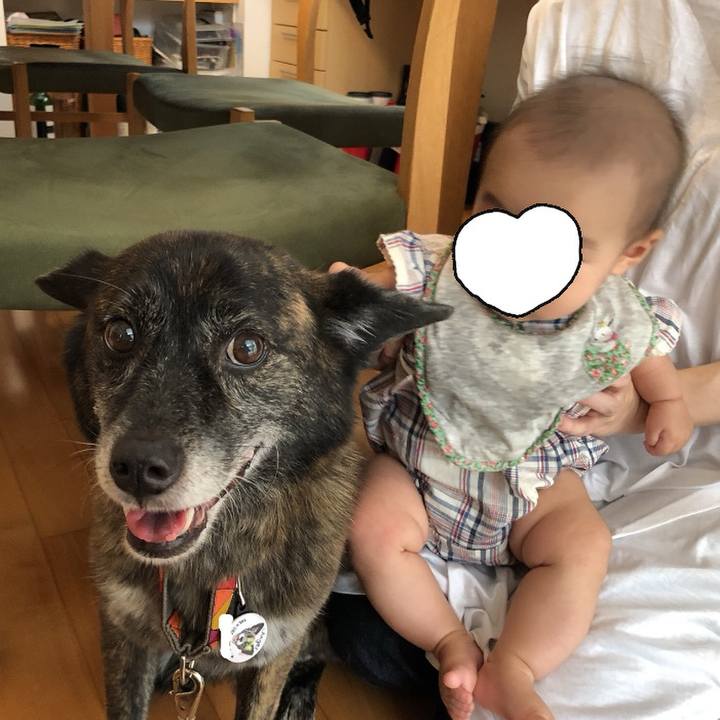 14fad891 e4ff 49db 9645 5a7a52dbd7e8 1596797819933