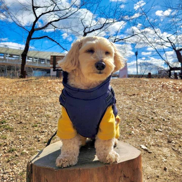 14faffb0 f3ac 420d bb31 e21408cf07de 1770291000649