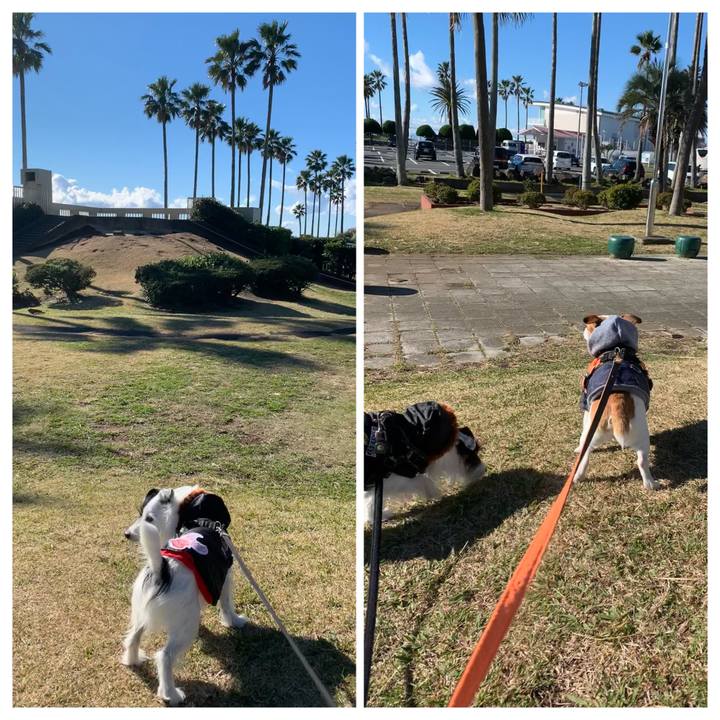 14fb0f97 ca41 493d ba80 ed69ef571608 1639793883058