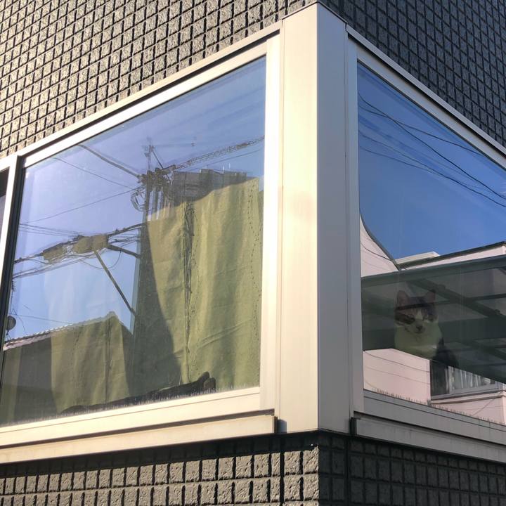 14fb2060 bcc9 4a6f b1f6 0173ac490e8e 1646725676364