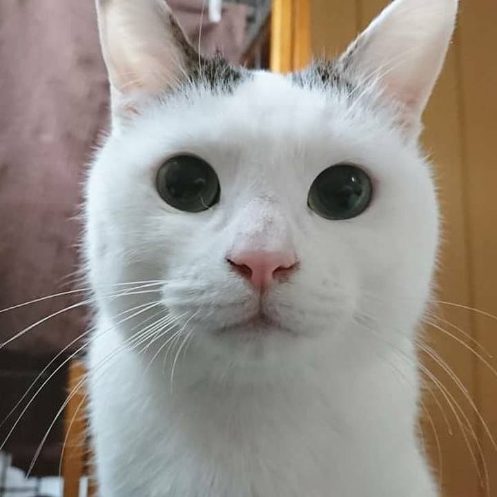 14fb2336 e457 4f37 bf68 abca07aa98bc 1549538017492