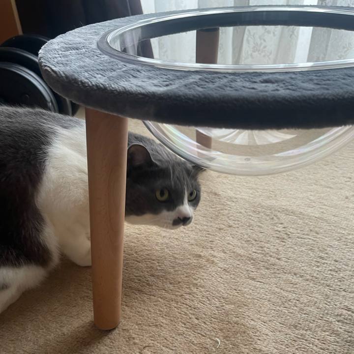 14fb2866 1f68 462f 902a ed76d2d1bdeb 1735108182730