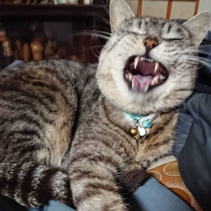 14fb2d6b 3a48 4e2a a305 a7c50b1292b4 1552388735298