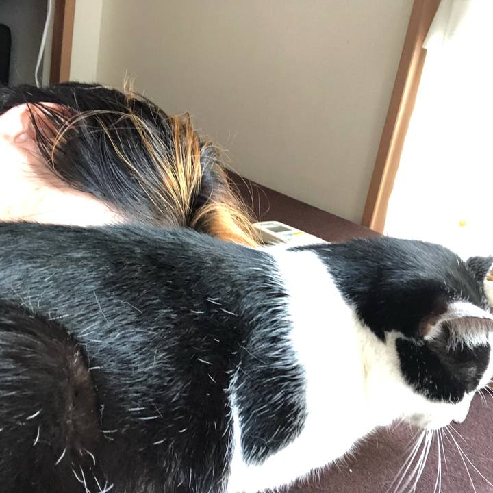 14fb2fab 5696 4546 bd7e 691245d0fae2 1567836339172