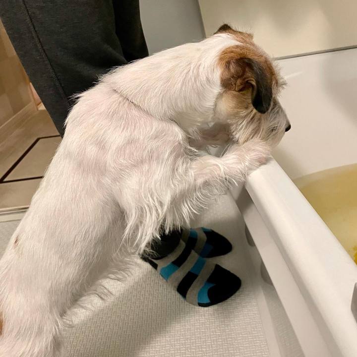 14fb7305 8fac 4989 aaa4 ec42d8013149 1644928657035