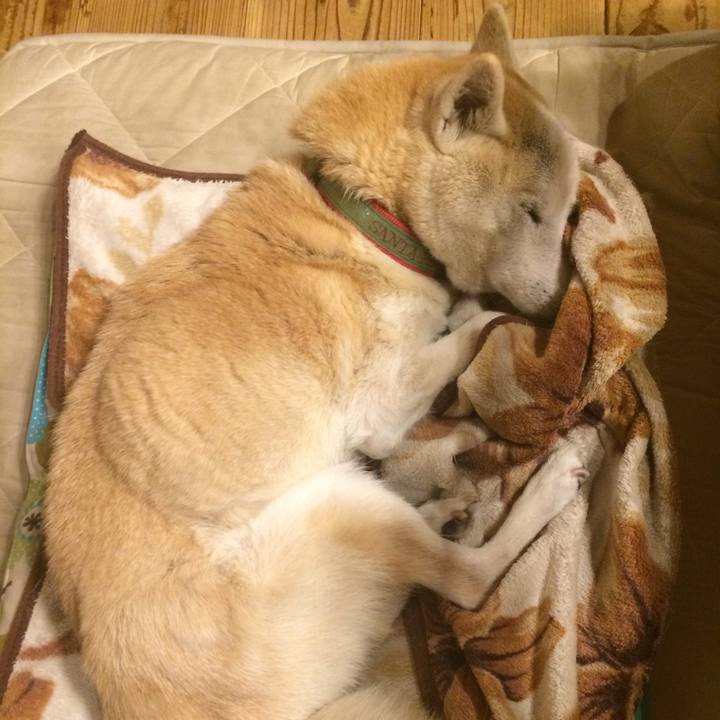 14fbe1c3 65de 4a90 97b0 e0c45c86e8d6 1575125659048