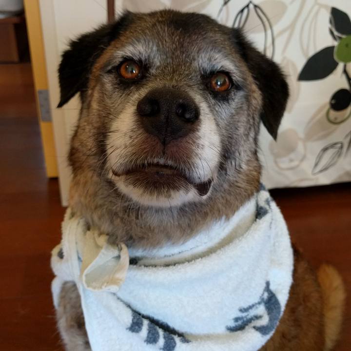 14fc1e47 bc82 4b05 add2 337ecb69500a 1734145302416