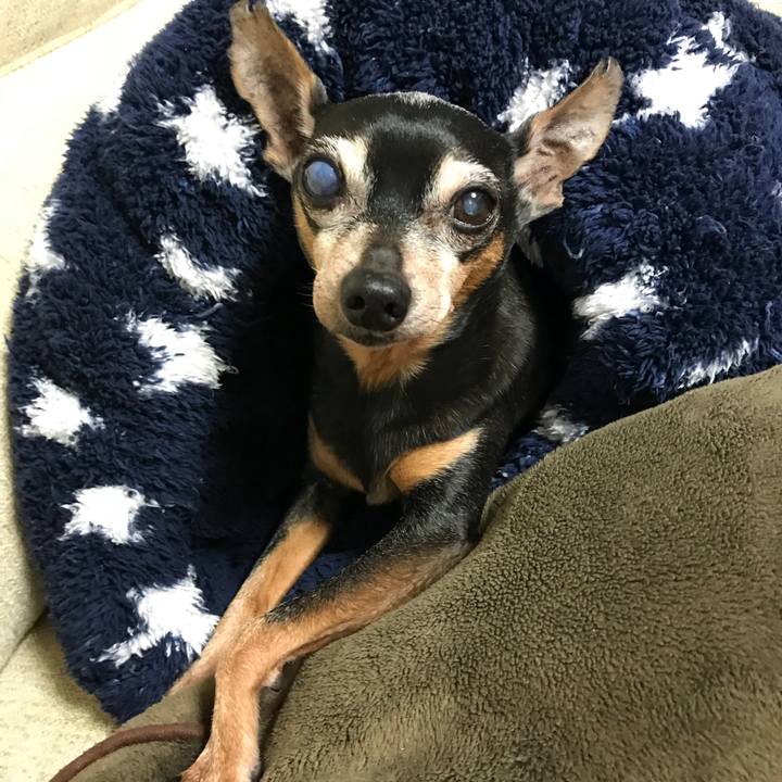 14fc5294 0da4 412d 9df4 c7f3b79326c7 1551447461973