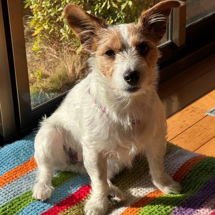 14fc665a 9c84 4005 b36b bc770983a2d2 1767487265340