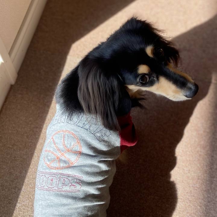 14fc67d2 4b05 44d1 b44c 5a8c61f1f144 1709163515671